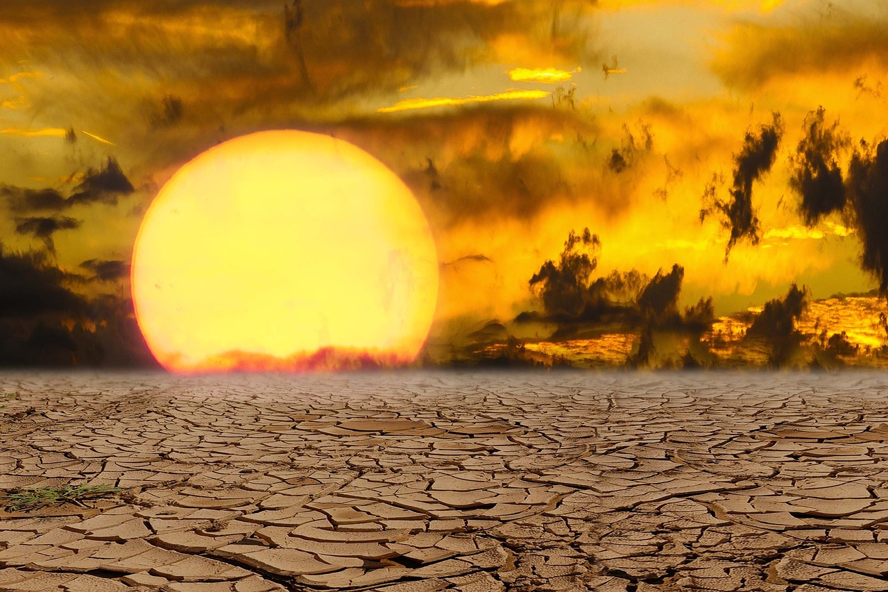 découvrez tout ce qu'il faut savoir sur les vagues de chaleur : causes, conséquences, conseils pour se protéger et implications pour l'environnement. informez-vous pour mieux faire face à la canicule.
