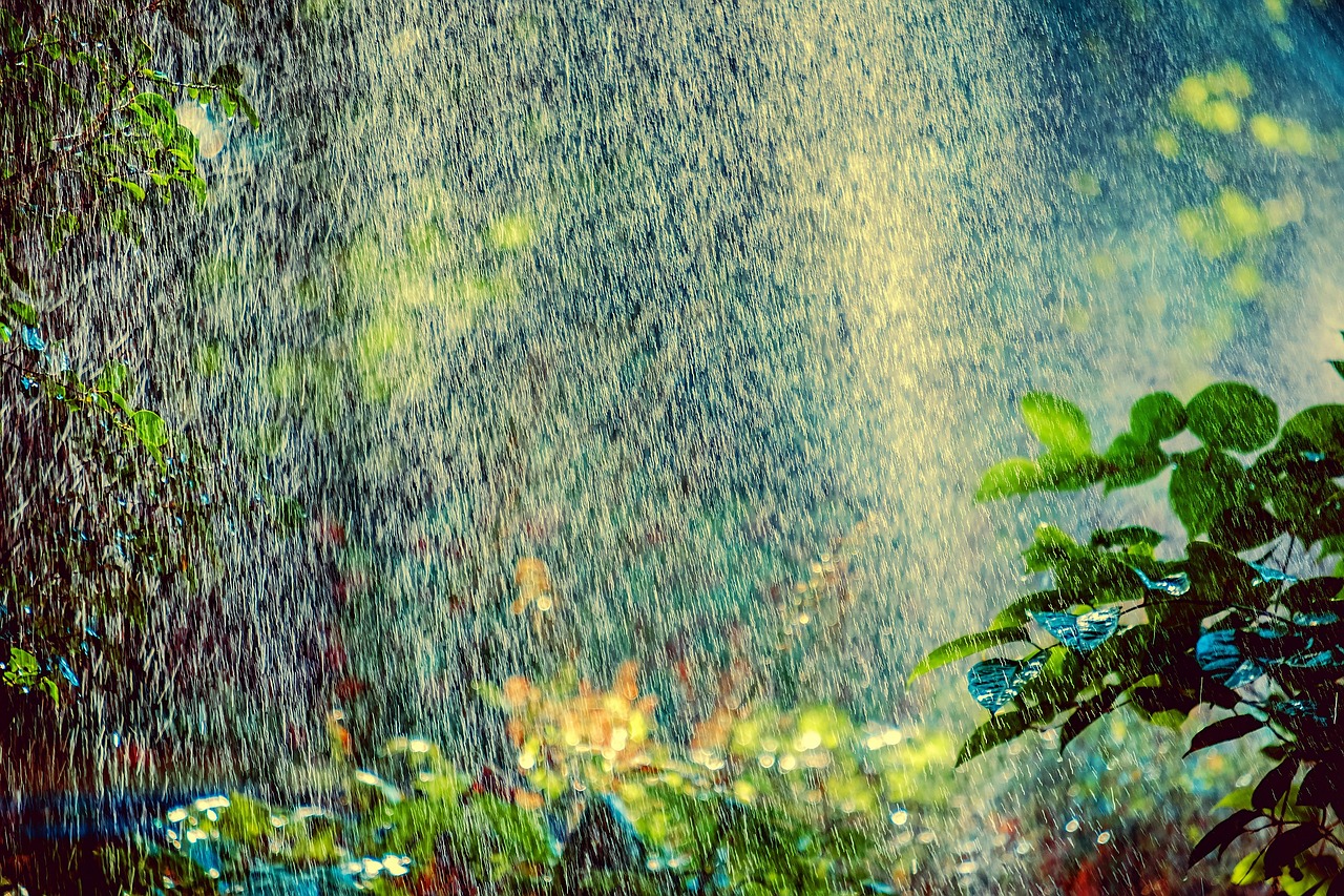 découvrez tout ce qu'il faut savoir sur les vagues de chaleur : causes, impacts sur la santé et l'environnement, conseils de prévention et solutions pour faire face à la canicule.