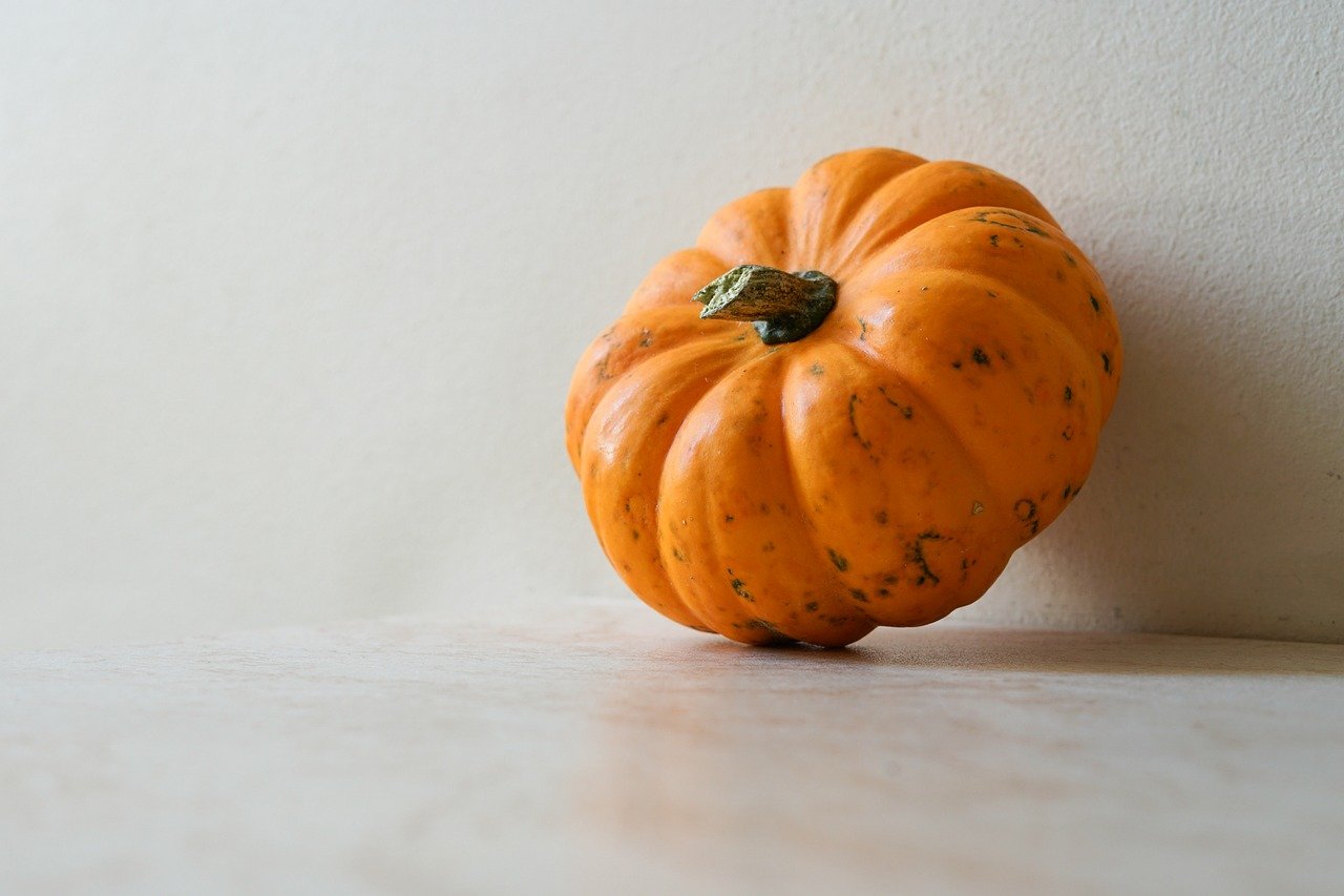 découvrez les événements marquants, traditions et idées d'activités à faire en octobre. profitez de ce mois automnal pour explorer de nouvelles inspirations et vivre des moments inoubliables.