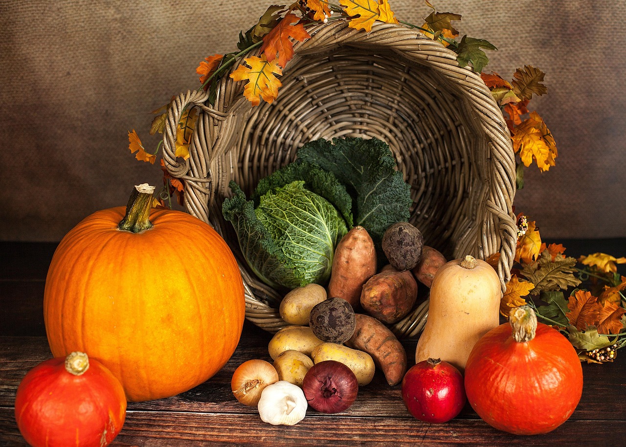 découvrez tout sur le mois d'octobre : événements, traditions, météo, astuces pour bien profiter de cette période automnale et activités incontournables.