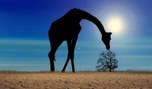 découvrez comment adopter une attitude responsable face au changement climatique grâce à des actions concrètes et des conseils pour réduire votre impact environnemental.