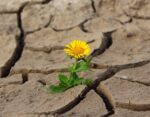 découvrez la résilience : sa définition, ses bienfaits et des conseils pratiques pour développer votre capacité à surmonter les difficultés et rebondir face aux défis de la vie.