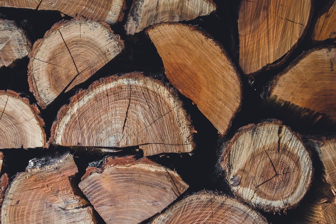 découvrez le domaine du forestry : techniques de gestion durable des forêts, préservation de la biodiversité, récolte responsable du bois et enjeux environnementaux. informez-vous sur les bonnes pratiques et l'actualité du secteur forestier.
