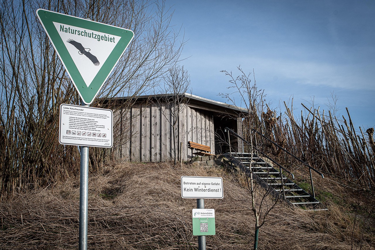 découvrez l'éducation à l'environnement : un apprentissage essentiel pour sensibiliser aux enjeux écologiques, promouvoir des comportements durables et agir en faveur de la planète. informez-vous et agissez dès aujourd'hui !
