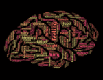 découvrez comment les perceptions influencent notre compréhension du monde, façonnent nos relations et impactent nos décisions au quotidien. analysez les mécanismes psychologiques et sociaux derrière nos points de vue.