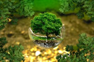 découvrez comment la déréglementation environnementale impacte la protection de la nature, les politiques publiques et les industries, et quelles en sont les conséquences pour l'environnement et la société.