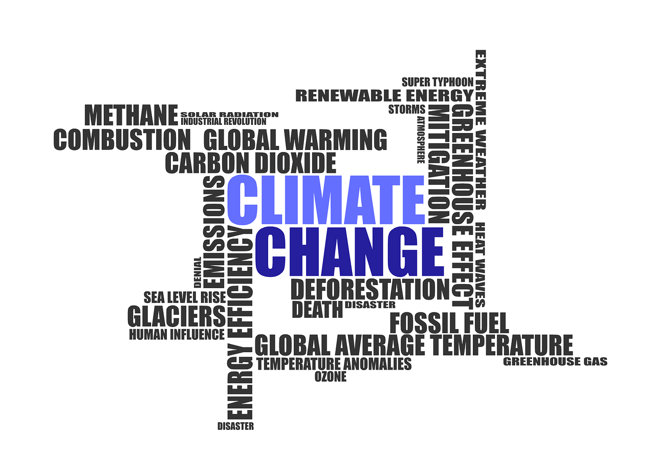 découvrez tout ce qu'il faut savoir sur les émissions de carbone : définitions, enjeux environnementaux, et solutions pour réduire votre empreinte carbone.
