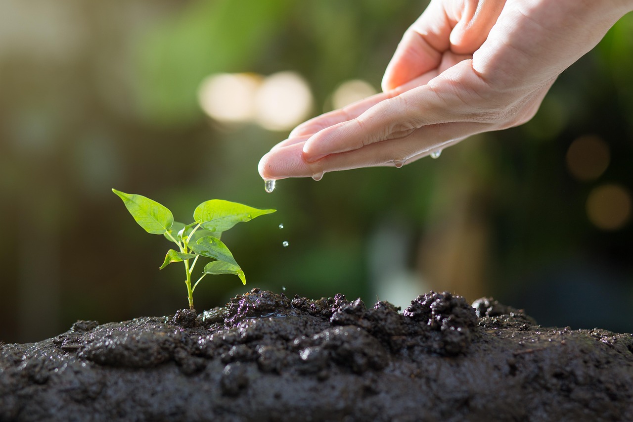 découvrez les principes de l'écologie, son importance pour la planète, et apprenez comment adopter des pratiques durables pour protéger l'environnement et préserver la biodiversité.
