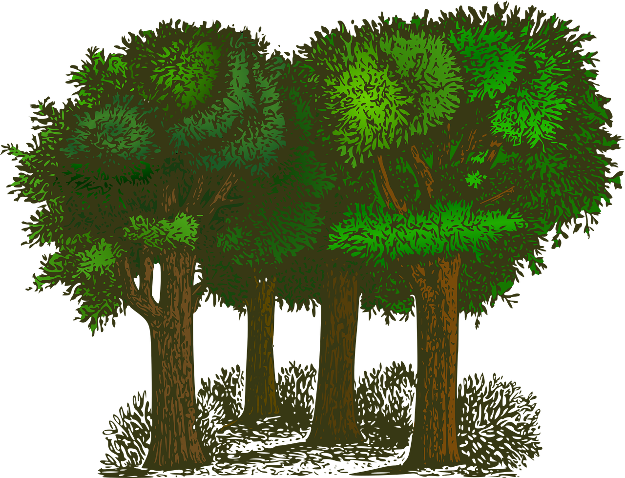 découvrez l'écologie : les principes, enjeux et solutions pour protéger l'environnement et favoriser un avenir durable. explorez les interactions entre les êtres vivants et leur écosystème.