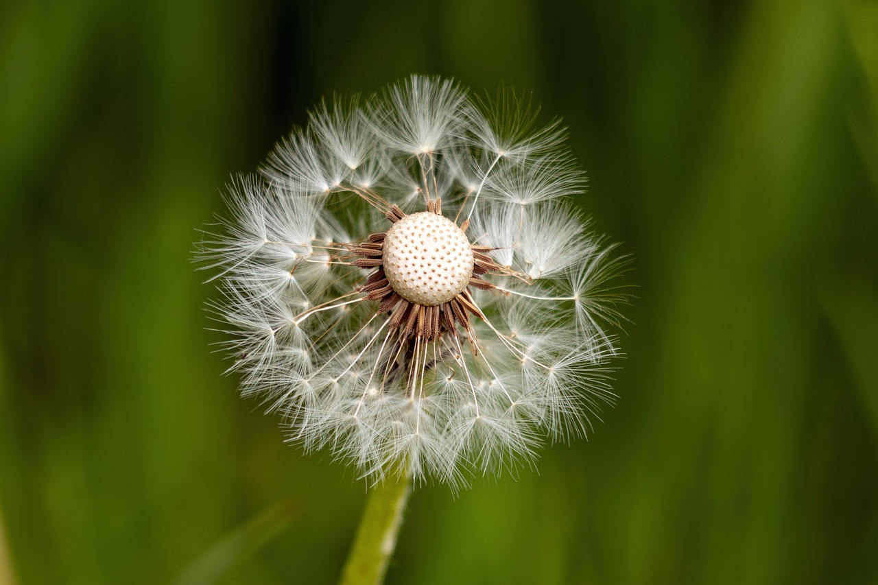découvrez la résilience, cette capacité à surmonter les difficultés et à rebondir face aux épreuves de la vie. conseils, témoignages et ressources pour renforcer votre force intérieure.