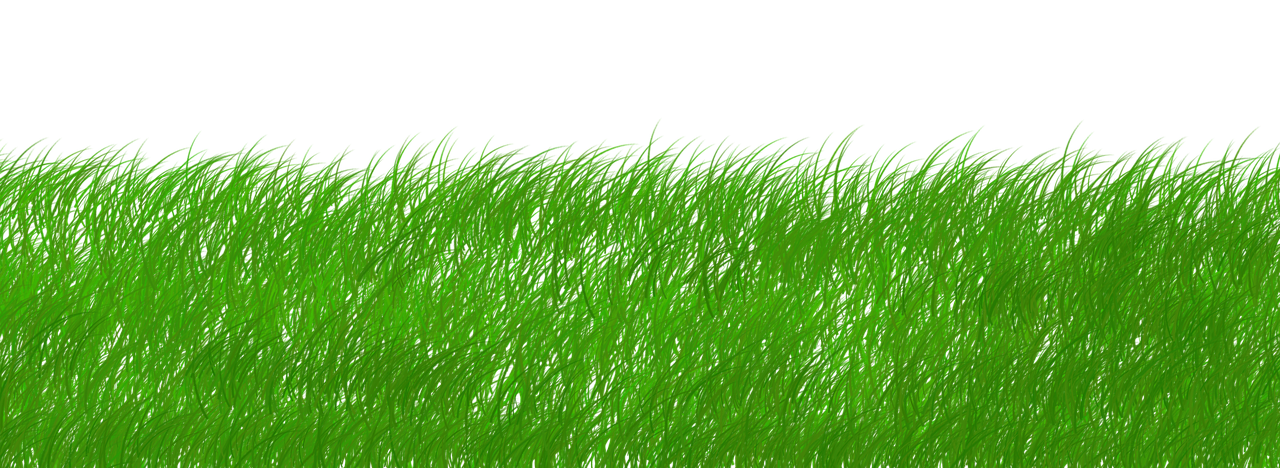 découvrez comment adopter des pratiques durables pour préserver l'environnement, réduire votre impact écologique et contribuer à un avenir responsable grâce à des conseils et solutions innovantes en matière de sustainability.