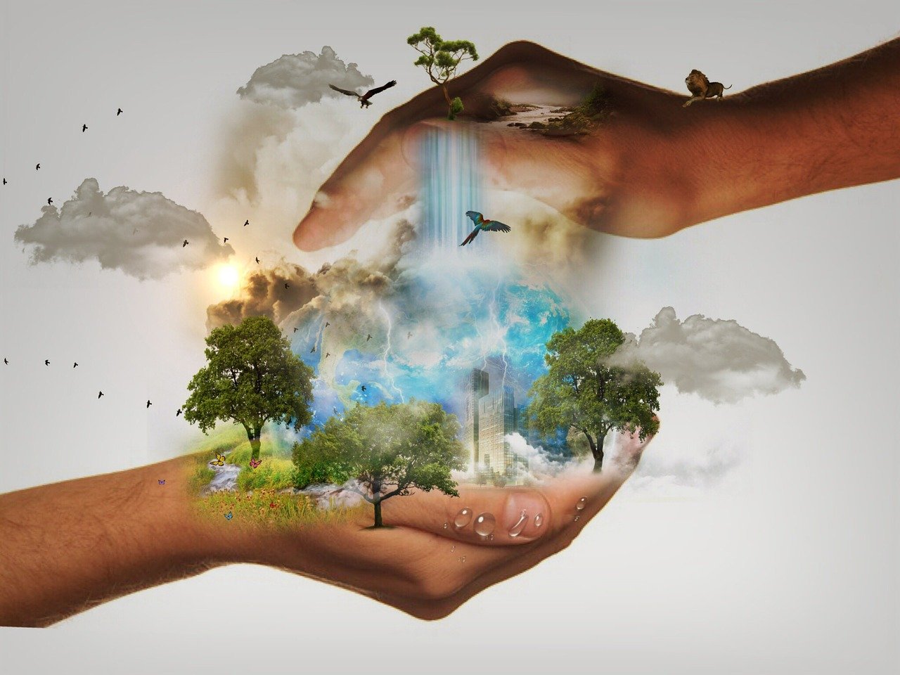 découvrez comment les écosystèmes durables favorisent l’équilibre entre la nature et les activités humaines, en protégeant la biodiversité et en assurant un avenir respectueux de l’environnement.