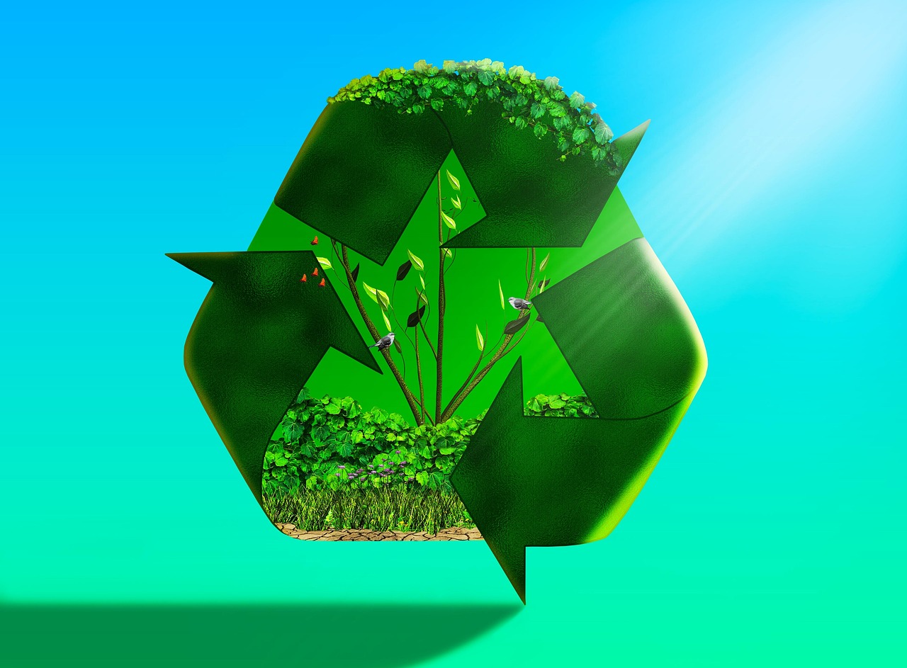 découvrez comment les écosystèmes durables favorisent la biodiversité, préservent les ressources naturelles et soutiennent un avenir respectueux de l’environnement. apprenez les principes et les pratiques pour protéger notre planète.