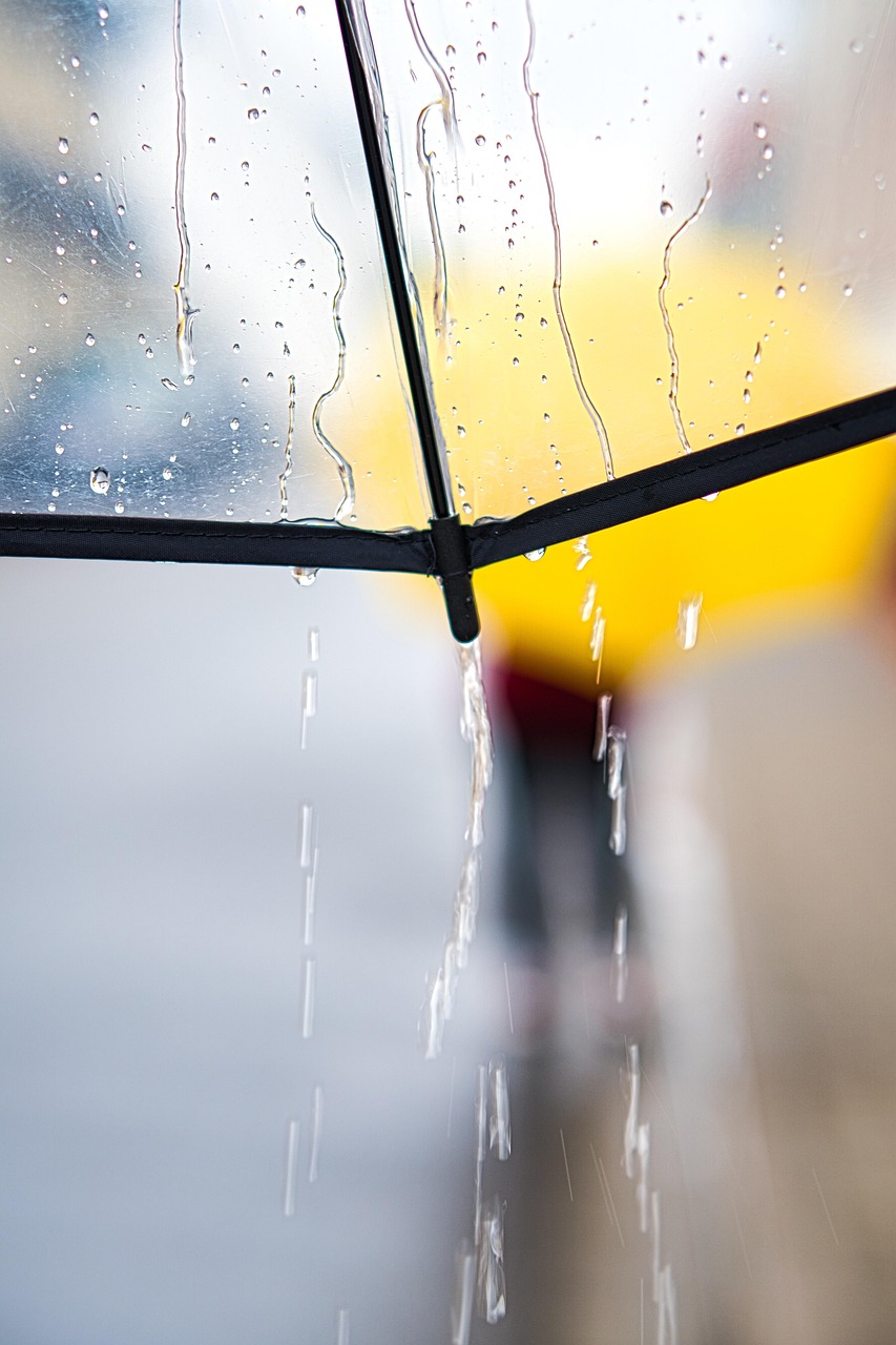 découvrez les dernières prévisions météo : températures, précipitations et conditions climatiques pour votre région. restez informé sur la météo d'aujourd'hui et des prochains jours.