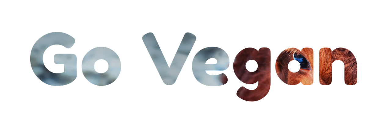 découvrez la mode durable et éthique alliant style, respect de l'environnement et conditions de travail équitables pour un avenir responsable.