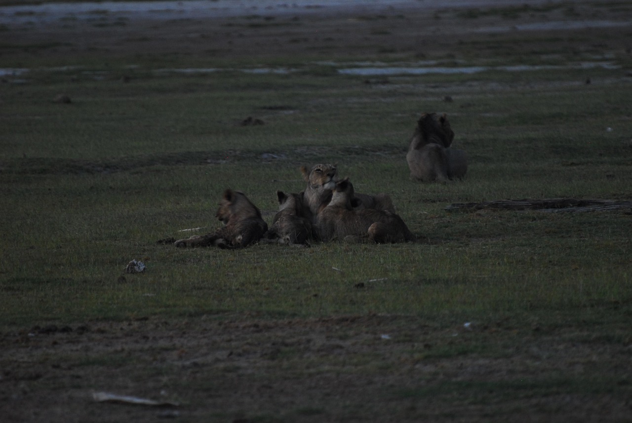 découvrez comment agir pour le climat : conseils, initiatives et solutions concrètes pour réduire votre impact environnemental et lutter contre le changement climatique.