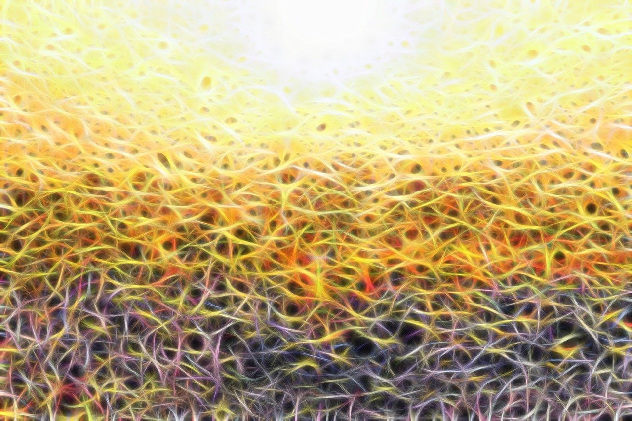 découvrez les causes et les conséquences des fluctuations climatiques, ainsi que leur impact sur l'environnement et les sociétés humaines. informez-vous sur les solutions et les moyens d'adaptation face à ces changements.