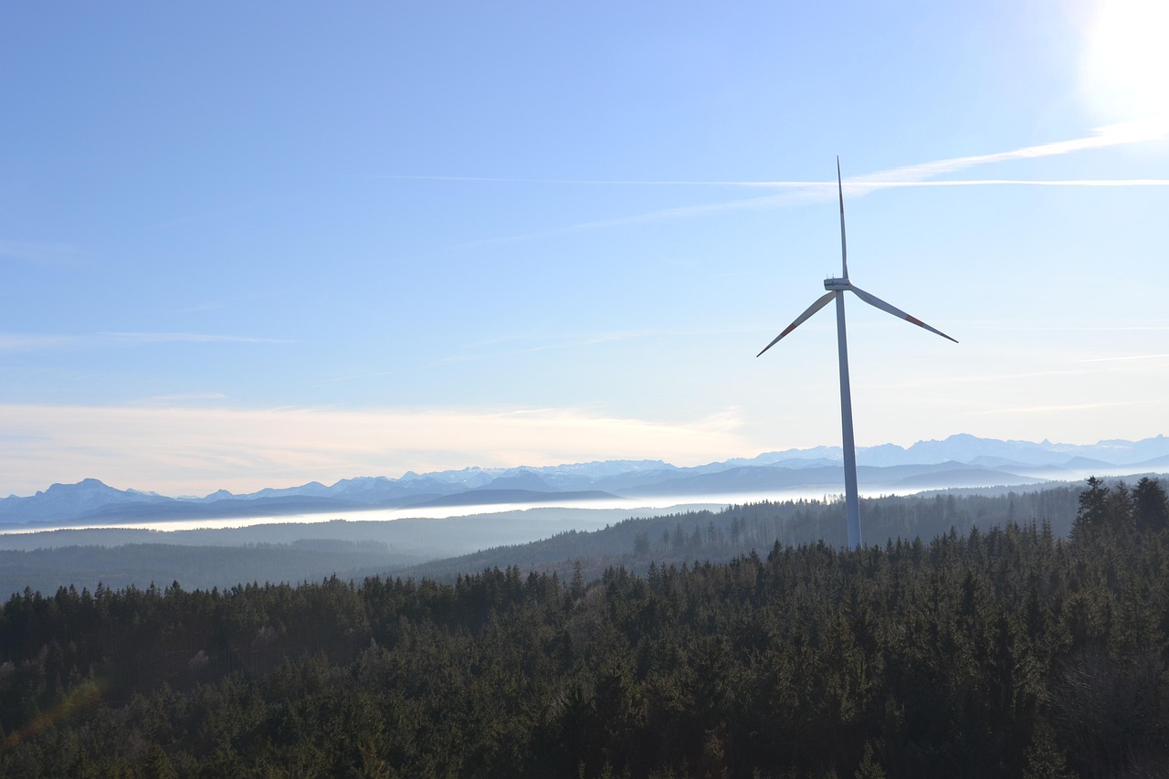 découvrez les enjeux et solutions de la transition écologique pour un avenir durable et respectueux de l'environnement.