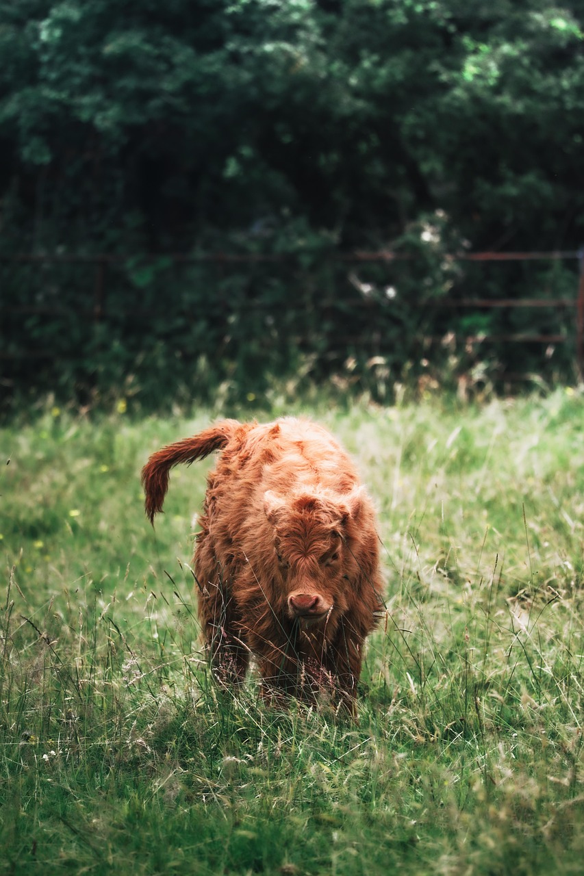découvrez les enjeux majeurs de l’environnement, les solutions durables et les innovations pour protéger notre planète. informez-vous sur la préservation de la nature et l'écologie.