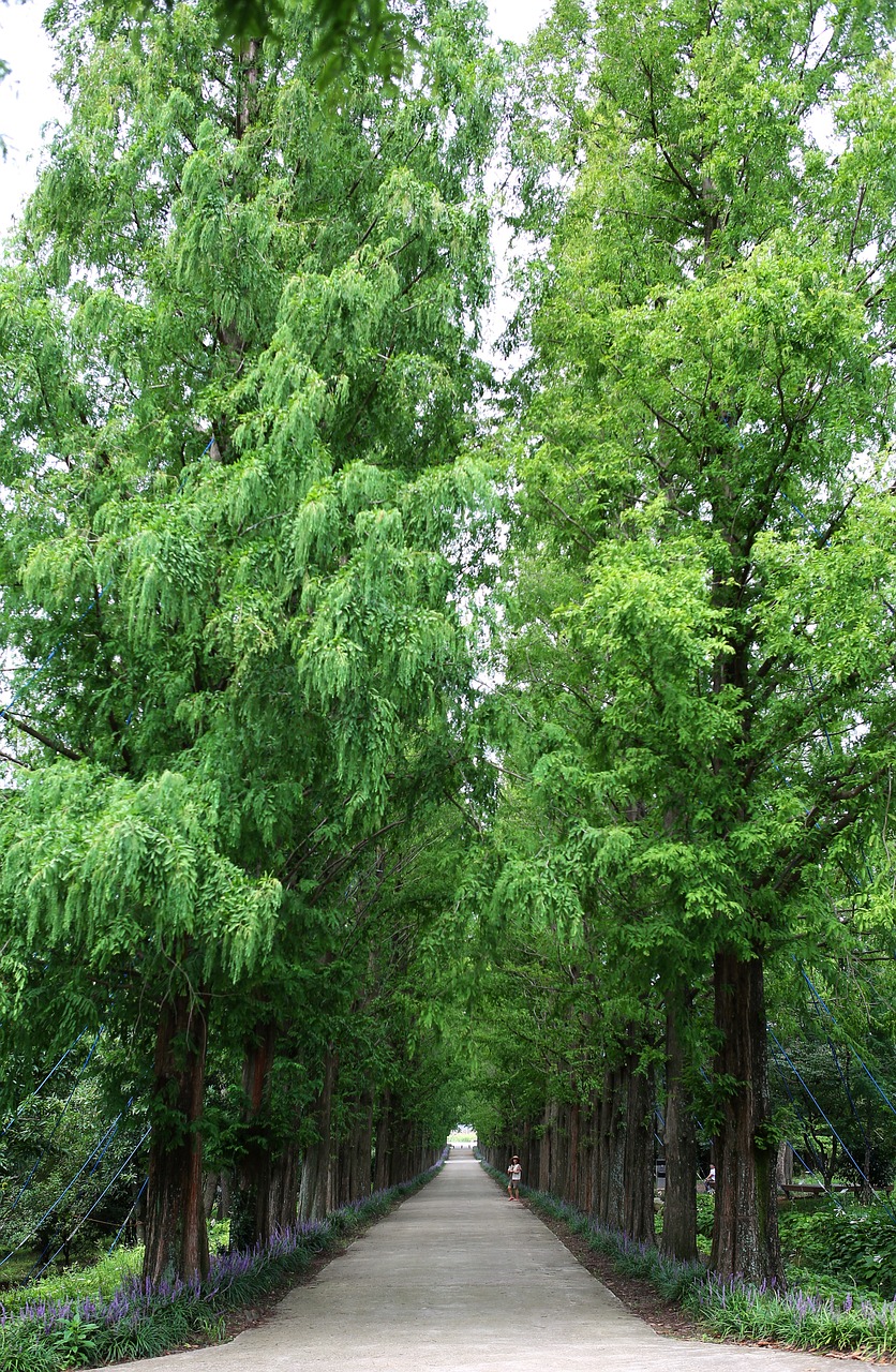 découvrez le global resources institute, un centre d'expertise dédié à la gestion durable des ressources mondiales pour un avenir responsable et innovant.