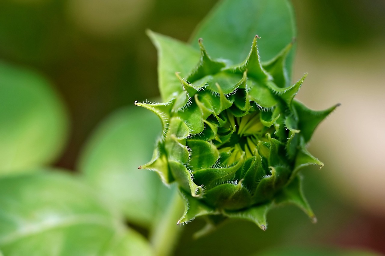 découvrez comment créer un jardin bio sur votre balcon pour cultiver des légumes et herbes fraîches de manière écologique et facile, même en espace réduit.