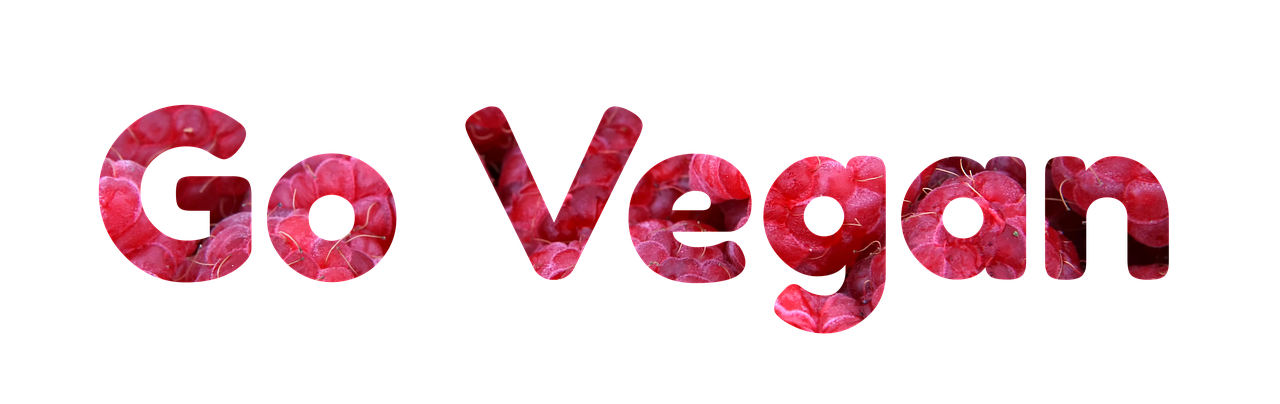 découvrez la mode éthique et durable alliant style, respect de l'environnement et engagement social pour un avenir responsable.