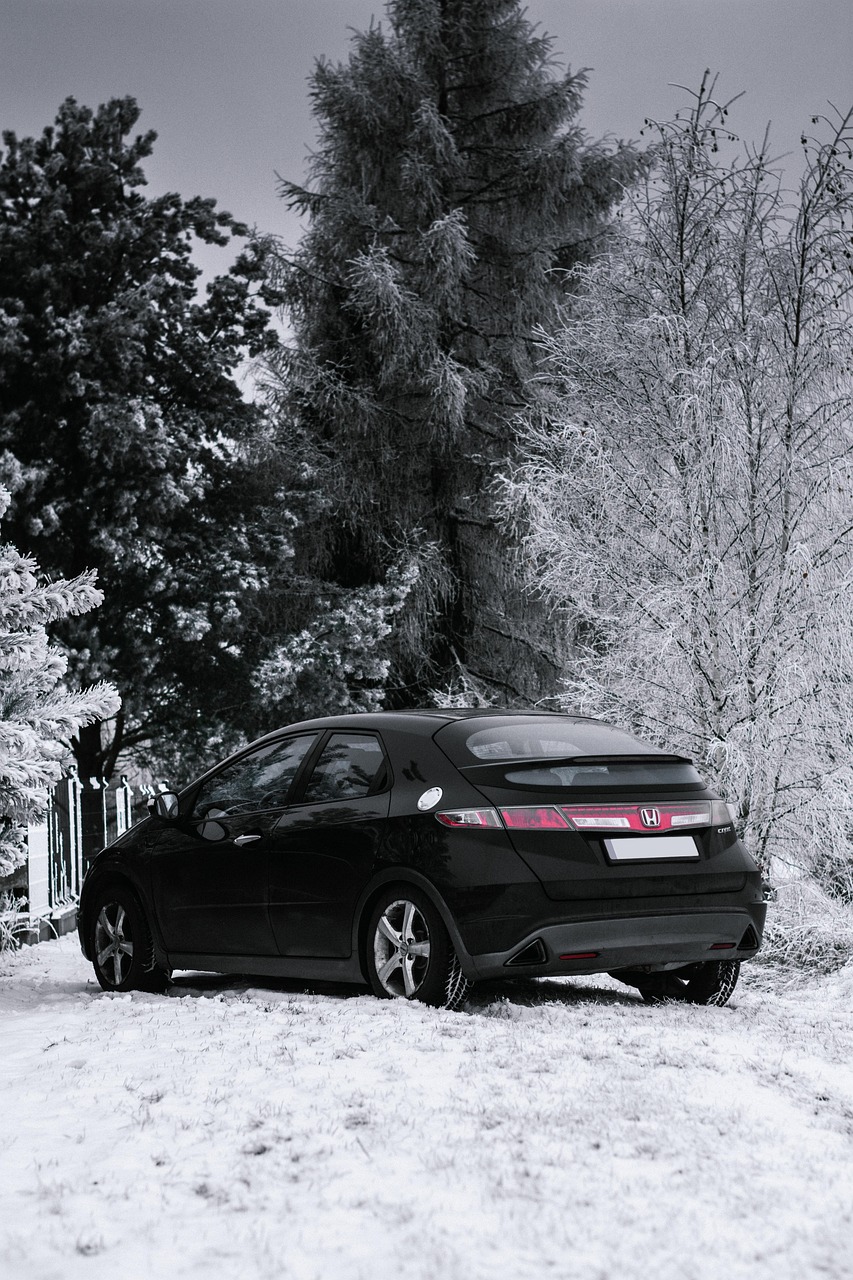 découvrez comment la mobilisation climatique rassemble individus et communautés pour agir ensemble contre le changement climatique et protéger notre planète.