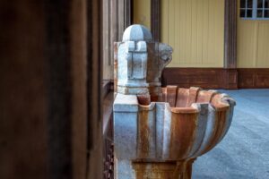 d&eacute;couvrez l'importance de l'&eacute;ducation au climat pour comprendre les enjeux environnementaux et agir durablement face au changement climatique.