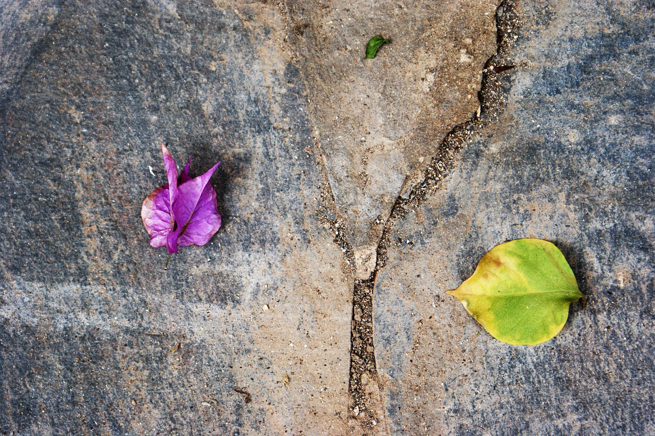 d&eacute;couvrez les diff&eacute;rentes divisions environnementales et leurs r&ocirc;les dans la protection et la gestion durable de notre plan&egrave;te.