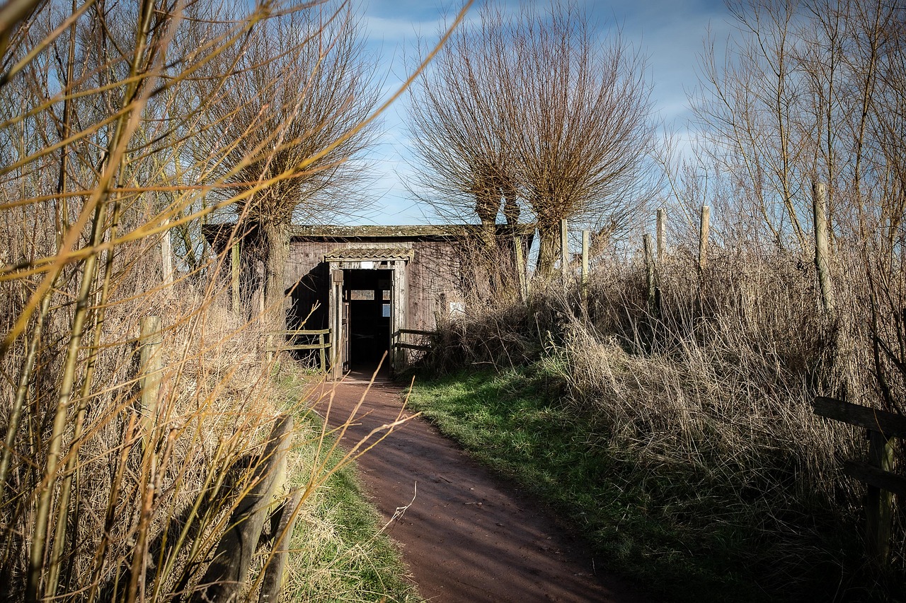 d&eacute;couvrez l'&eacute;ducation environnementale : sensibilisation, actions durables et protection de la plan&egrave;te pour un avenir responsable.