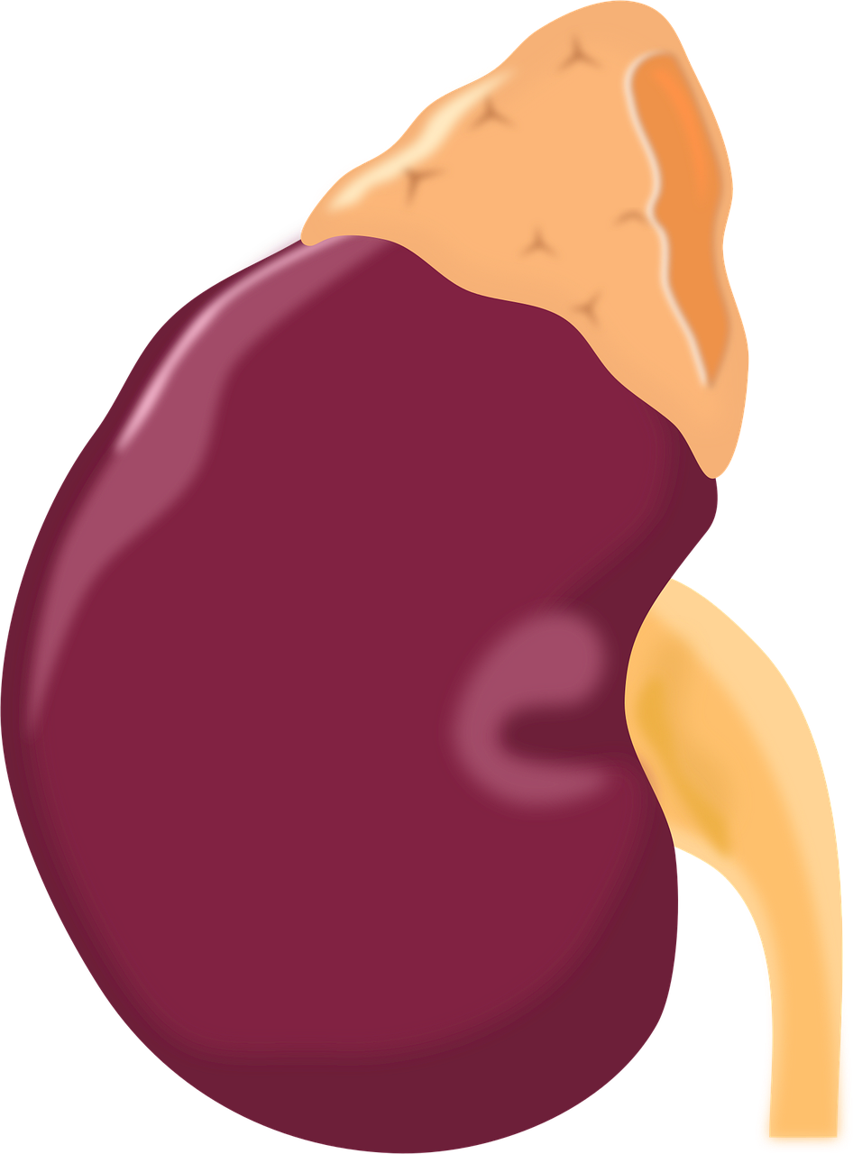 d&eacute;couvrez le r&ocirc;le, les missions et l'impact des organisations internationales dans la coop&eacute;ration mondiale, la paix et le d&eacute;veloppement durable.