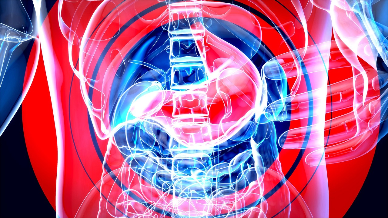 d&eacute;couvrez les organisations internationales, leurs r&ocirc;les, leurs missions et leur impact sur la coop&eacute;ration mondiale.