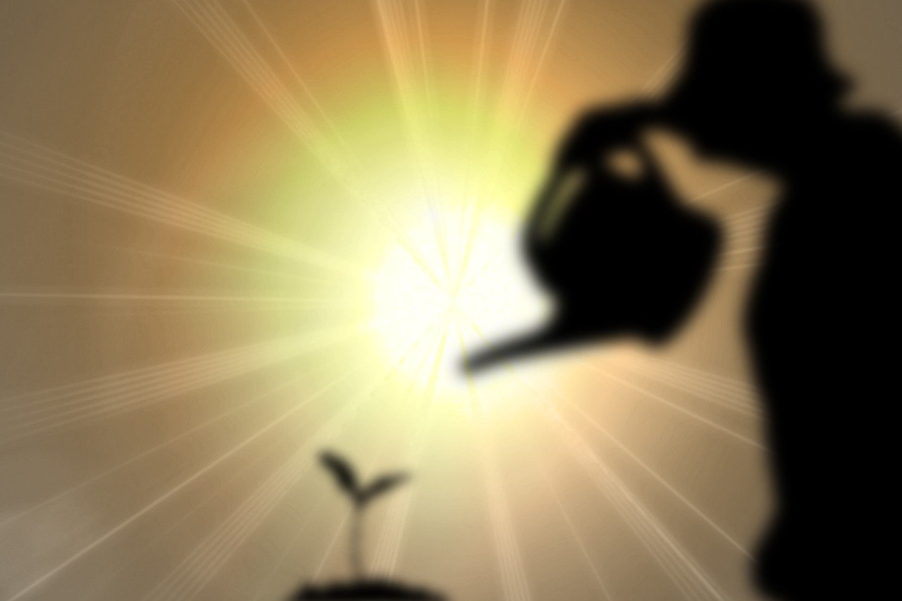 d&eacute;couvrez les strat&eacute;gies essentielles pour l'adaptation au changement climatique et comment prot&eacute;ger les communaut&eacute;s et les &eacute;cosyst&egrave;mes face aux d&eacute;fis environnementaux actuels.