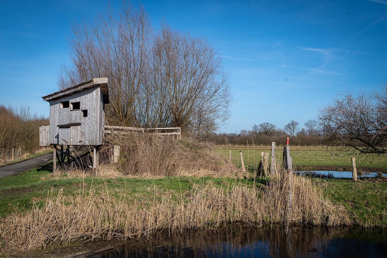 d&eacute;couvrez l'&eacute;ducation environnementale pour sensibiliser et engager les individus &agrave; prot&eacute;ger notre plan&egrave;te gr&acirc;ce &agrave; des connaissances et actions durables.