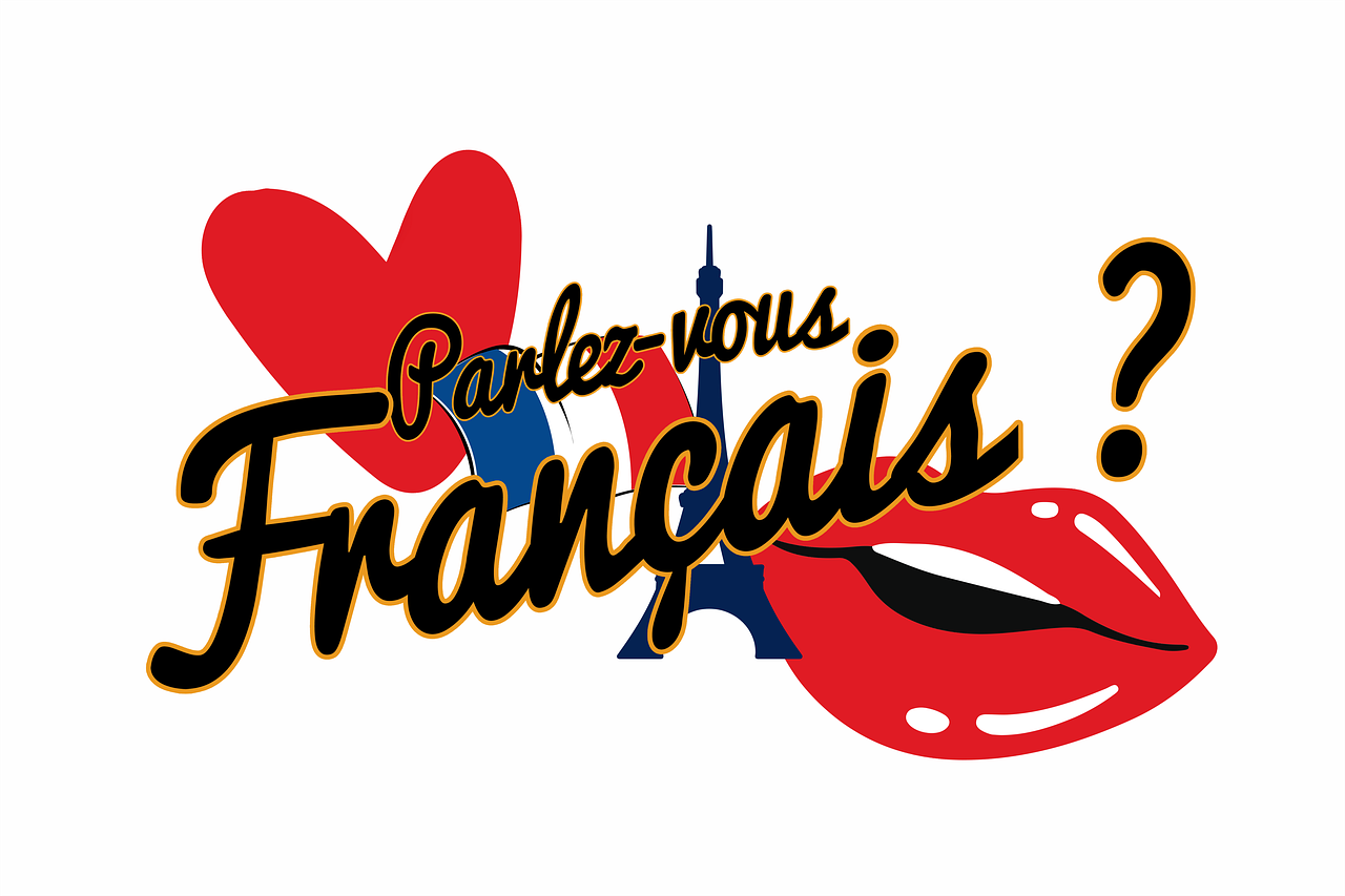 d&eacute;couvrez la diplomatie climatique fran&ccedil;aise et son r&ocirc;le cl&eacute; dans la lutte internationale contre le changement climatique.