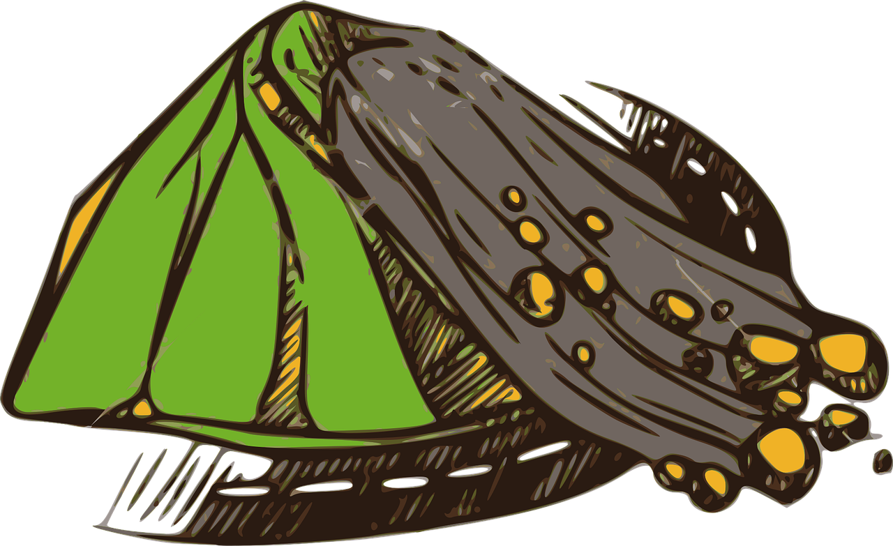 d&eacute;couvrez les diff&eacute;rents types de catastrophes naturelles, leurs causes, leurs impacts et les mesures de pr&eacute;vention pour mieux comprendre et se pr&eacute;parer aux risques naturels.