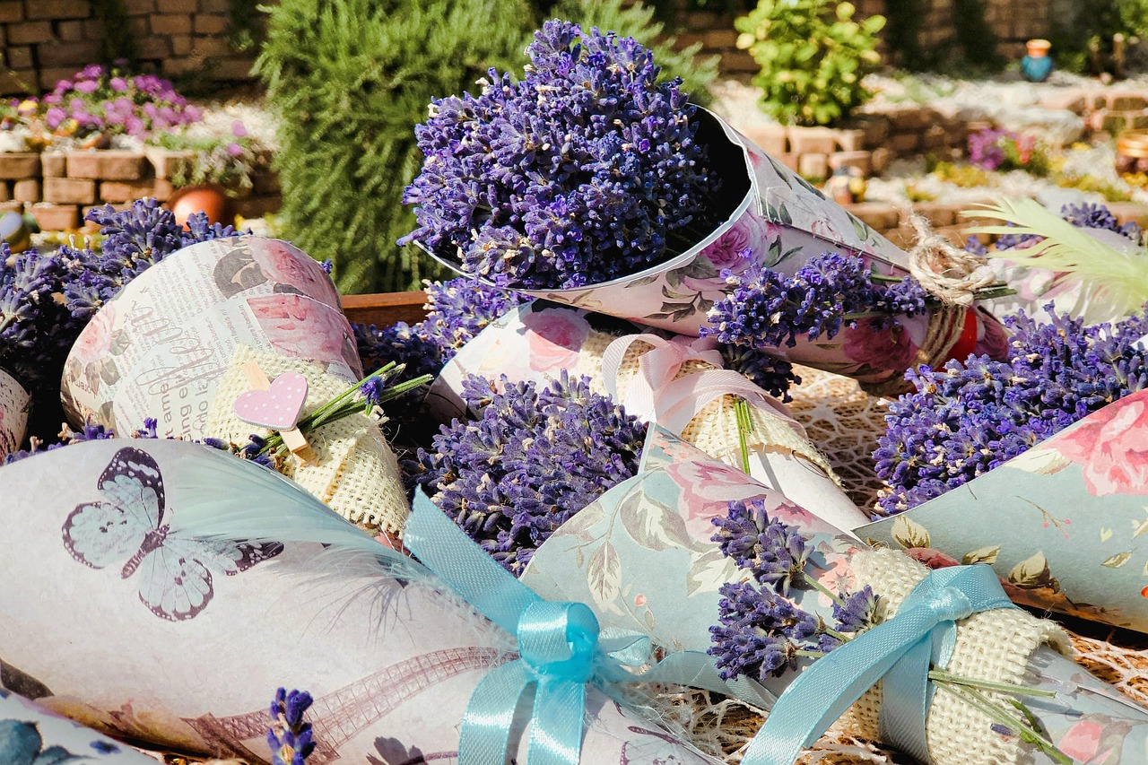 découvrez nos emballages écologiques réutilisables, une alternative durable et respectueuse de l'environnement pour conserver vos aliments.