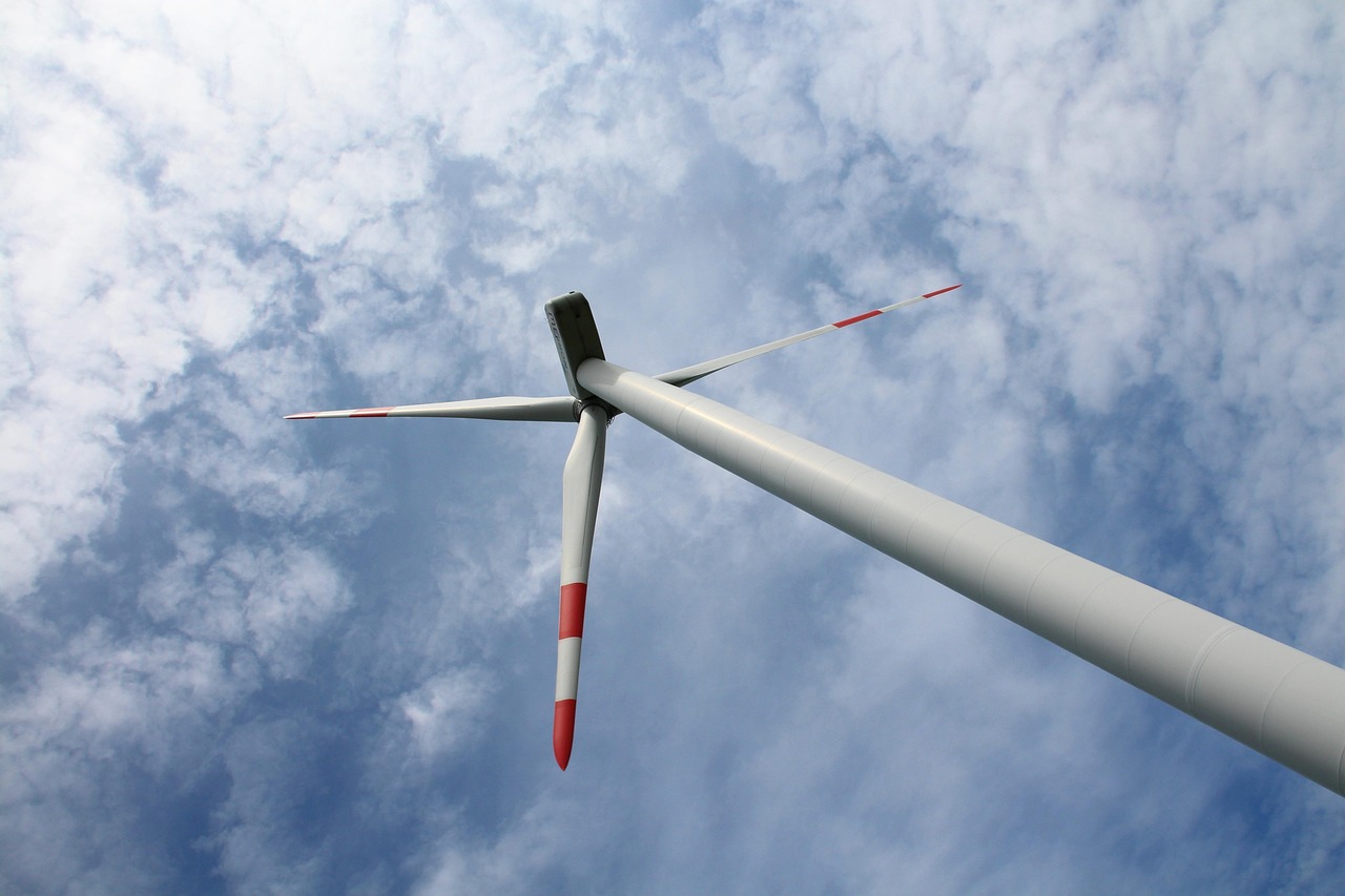 d&eacute;couvrez les enjeux de la transition &eacute;cologique pour un avenir durable, incluant les actions environnementales, les &eacute;nergies renouvelables et les politiques vertes.