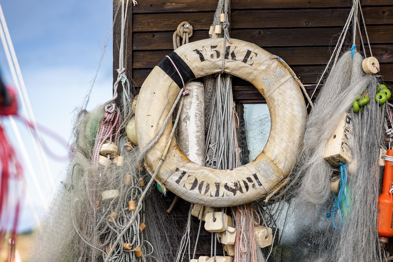 la s&eacute;curit&eacute; environnementale : prot&eacute;ger les ressources naturelles et pr&eacute;venir les risques li&eacute;s aux changements climatiques pour assurer un avenir durable.