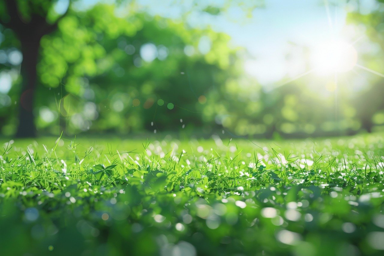 d&eacute;couvrez le green ai, une approche &eacute;cologique de l'intelligence artificielle visant &agrave; r&eacute;duire l'empreinte carbone et optimiser la consommation &eacute;nerg&eacute;tique des mod&egrave;les d'ia.