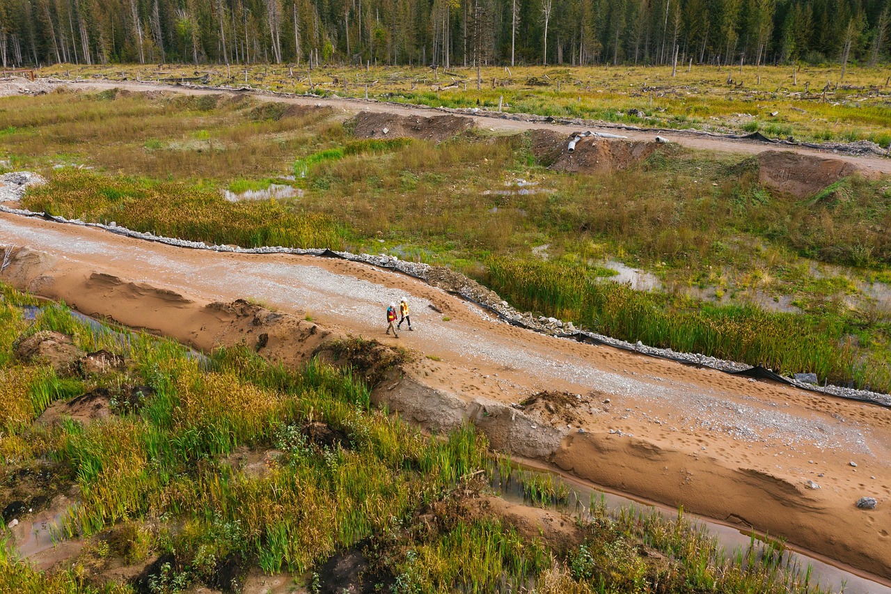 découvrez les impacts environnementaux de l'exploitation minière et les mesures pour les atténuer afin de protéger la biodiversité et les ressources naturelles.