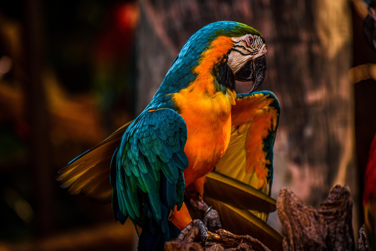 d&eacute;couvrez un sanctuaire naturel o&ugrave; la biodiversit&eacute; prosp&egrave;re et la tranquillit&eacute; r&egrave;gne, offrant un havre de paix pour les amoureux de la nature.