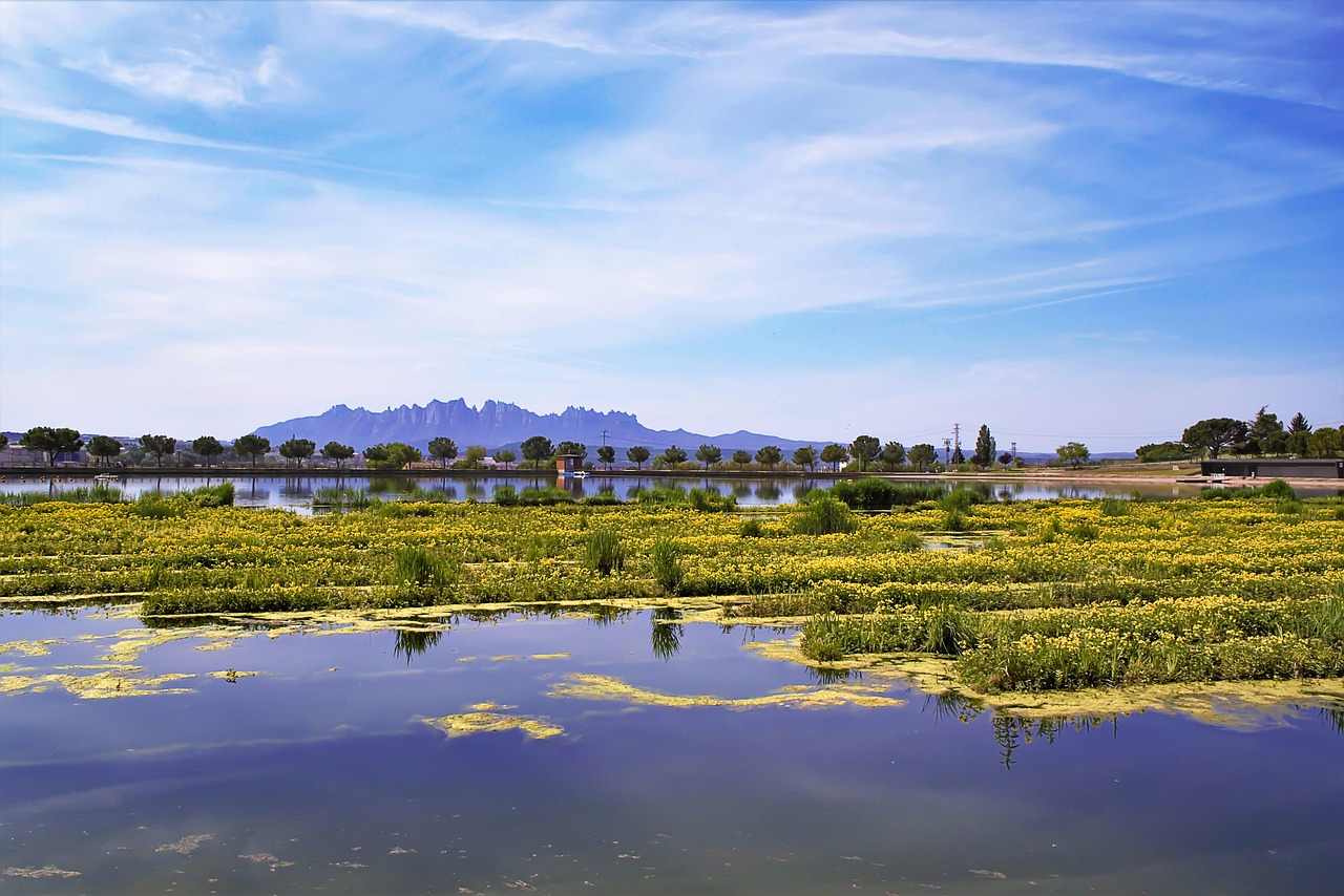 d&eacute;couvrez l'importance des r&eacute;serves d'eau, leur gestion durable et leur r&ocirc;le crucial dans la s&eacute;curit&eacute; hydrique mondiale.