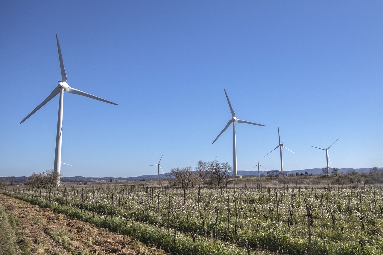 rejoignez earth hour, un mouvement mondial pour pr&eacute;server la plan&egrave;te en &eacute;teignant les lumi&egrave;res pendant une heure afin de sensibiliser au changement climatique et &agrave; la protection de l'environnement.