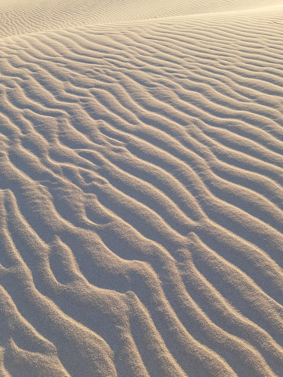 earth hour est un mouvement mondial engag&eacute; &agrave; sensibiliser sur le changement climatique en &eacute;teignant les lumi&egrave;res pendant une heure pour pr&eacute;server la plan&egrave;te.