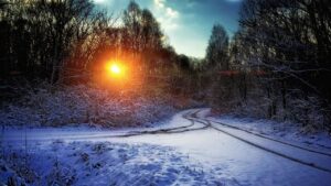 participez &agrave; l'heure de la terre, un &eacute;v&eacute;nement mondial visant &agrave; sensibiliser &agrave; la protection de l'environnement en &eacute;teignant les lumi&egrave;res pendant une heure.
