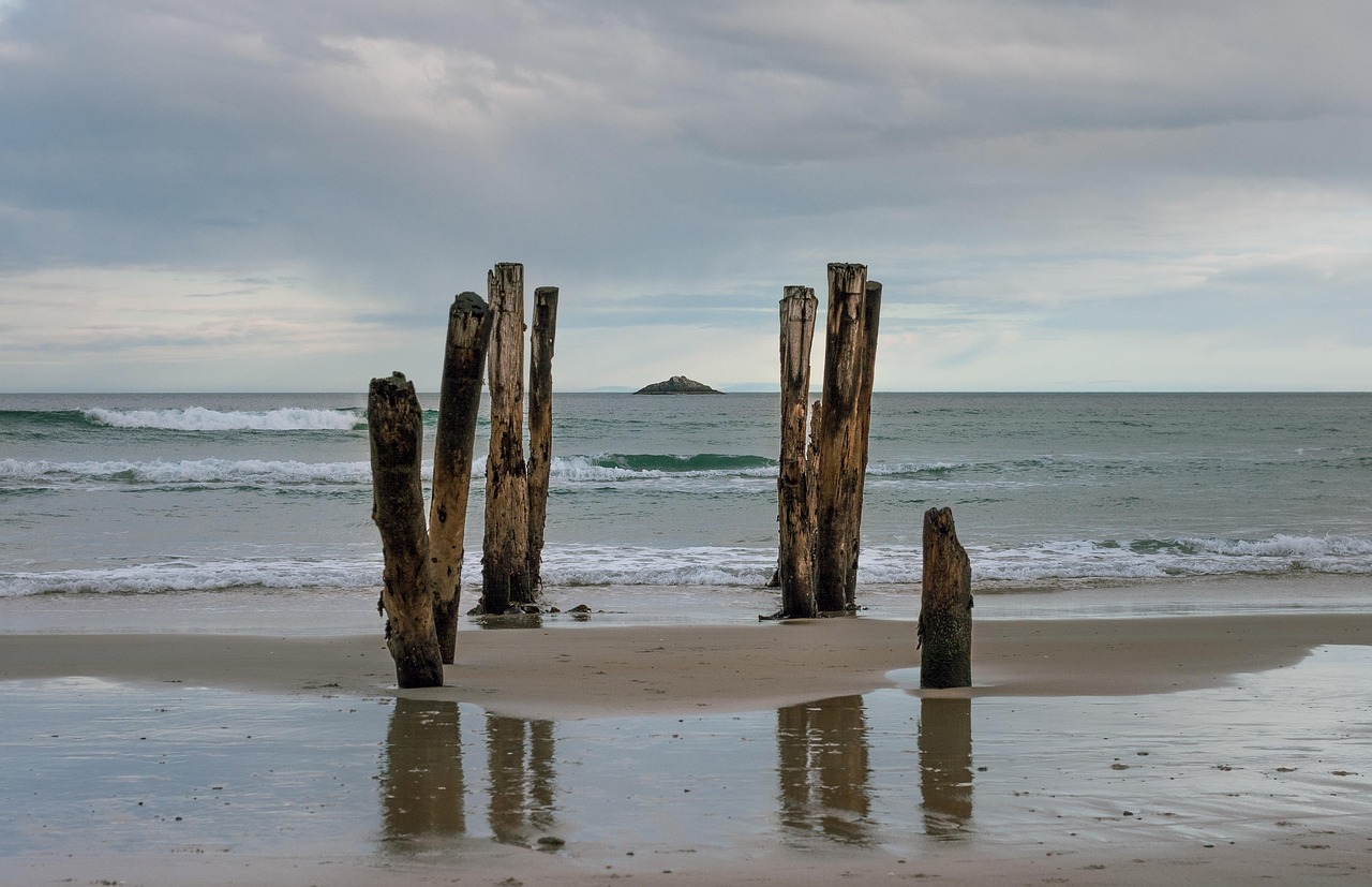 rejoignez earth hour, l'&eacute;v&eacute;nement mondial pour sensibiliser &agrave; la protection de la plan&egrave;te en &eacute;teignant les lumi&egrave;res pendant une heure.