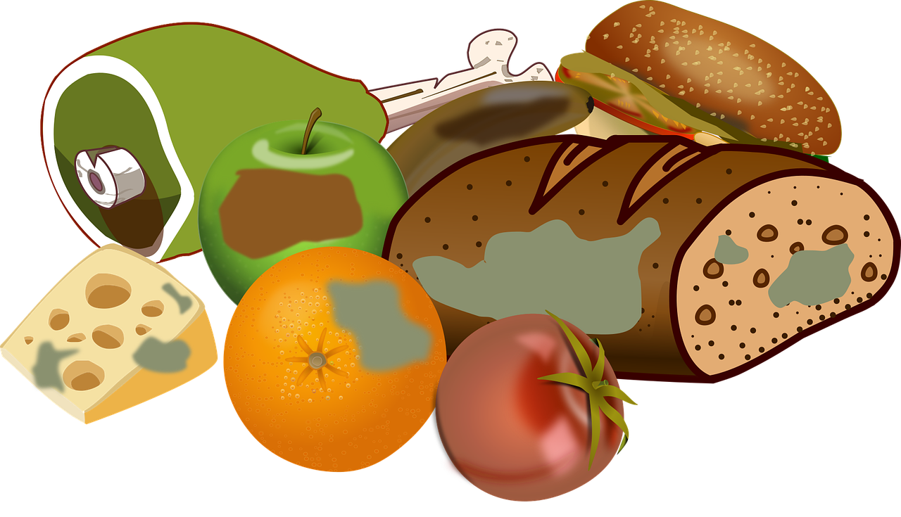 découvrez les causes et solutions pour réduire le gaspillage alimentaire et adopter des pratiques durables au quotidien.