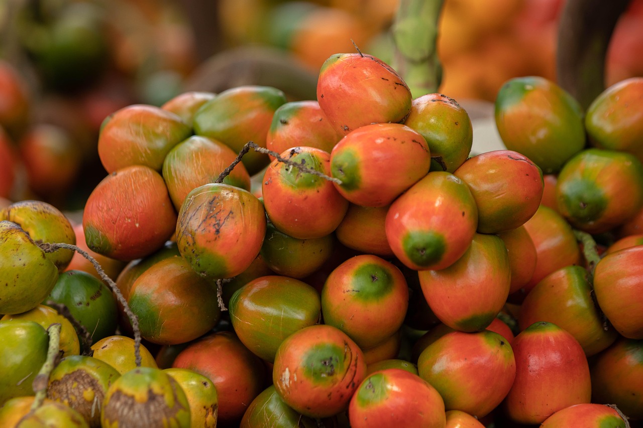 d&eacute;couvrez l'importance de l'implication des communaut&eacute;s autochtones dans les projets et d&eacute;cisions, en valorisant leurs savoirs et droits.