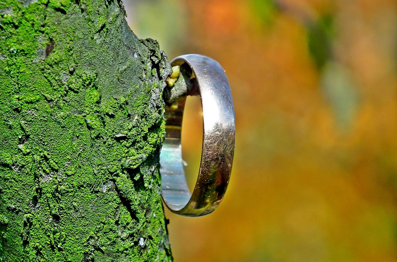 d&eacute;couvrez l'importance de la participation des peuples autochtones dans les d&eacute;cisions et projets affectant leurs communaut&eacute;s et territoires.